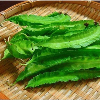 Hạt giống đậu rồng 1k( 5 hạt)