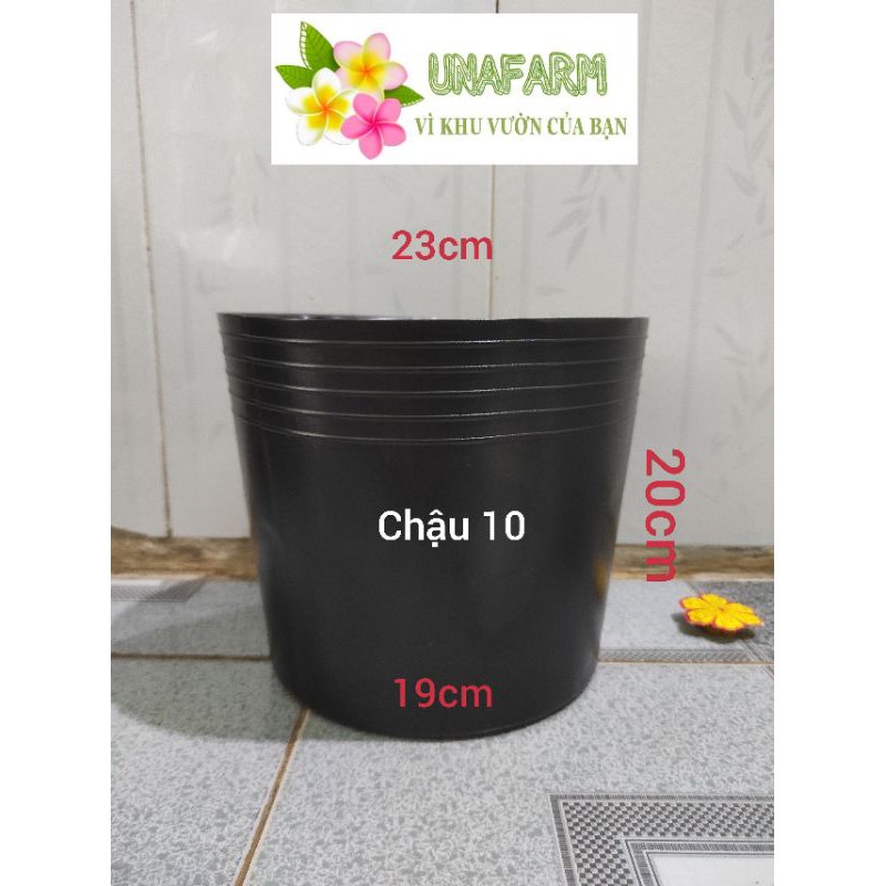 Chậu nhựa đen mềm size 10