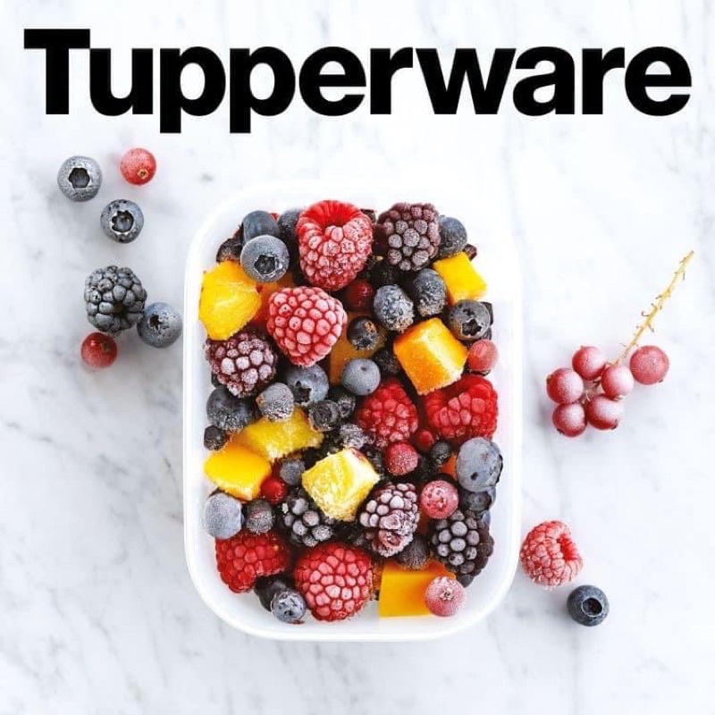 Bộ Hộp Nhựa 450ml Ngăn Đông Dẻo Gen 2 Tupperware - Trữ Thực Phẩm Thịt Cá Trái Cây - Đồ Ăn Dặm Cho Bé