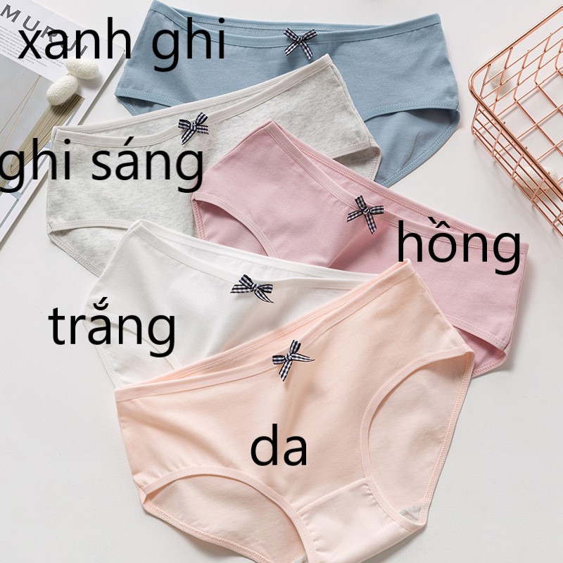 Quần lót bé gái size đại rất nhiều hình xinh xắn dễ thương, quần lót tam giác cotton cho bé