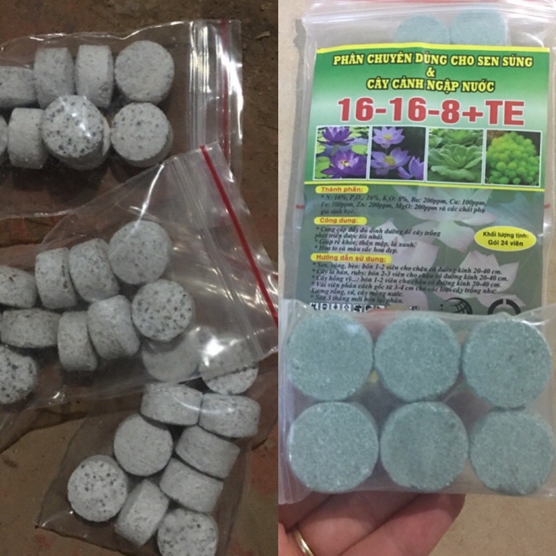 Phân tan chậm cho cây cảnh