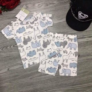 Bozip 950