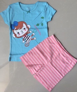 Bộ Carters bé gái Size 2-8T (tt)