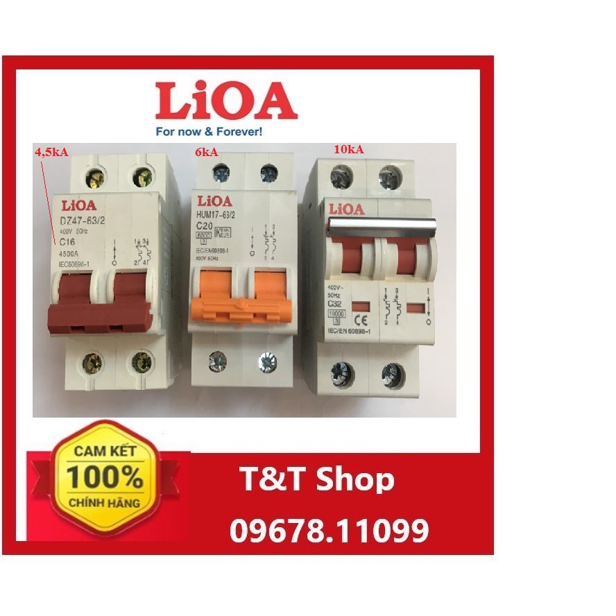 Cầu dao tự động  2 cực 6A-40A