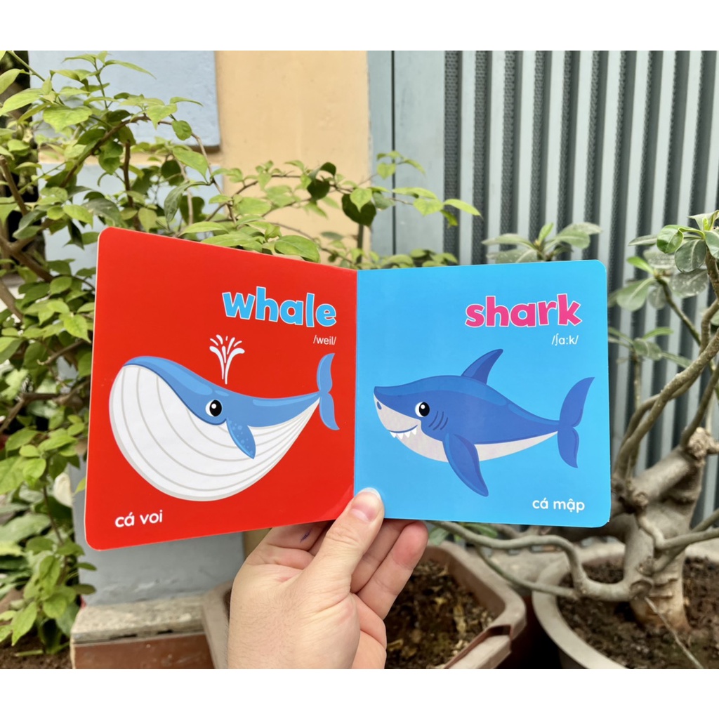 Sách bìa cứng Thư viện hình ảnh đầu tiên Baby's First Picture Book 8 CUỐN bìa xanh