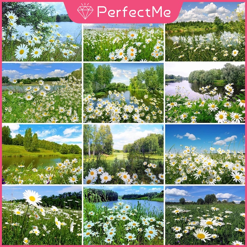 Bộ Tranh Đính Đá 5d Họa Tiết Hoa Xinh Xắn Độc Đáo Kích Thước 40x30cm DIY Dùng Trang Trí Nhà Cửa