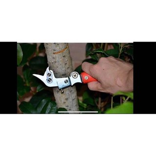 Dụng cụ khoanh vỏ cây kích thích ra hoa kết trái hàng nhập khẩu