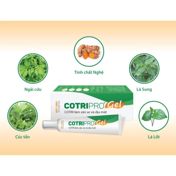 [Date mới nhất] Cotripro Gel - Kem bôi trĩ [Cotri pro gel, cotriro gel, cotriprogel]