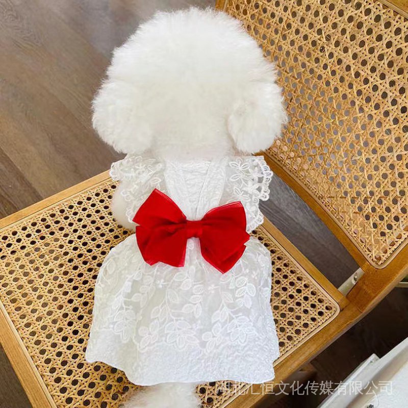 Đầm Teddy Bichon Thắt Nơ Cho Thú Cưng YQC9