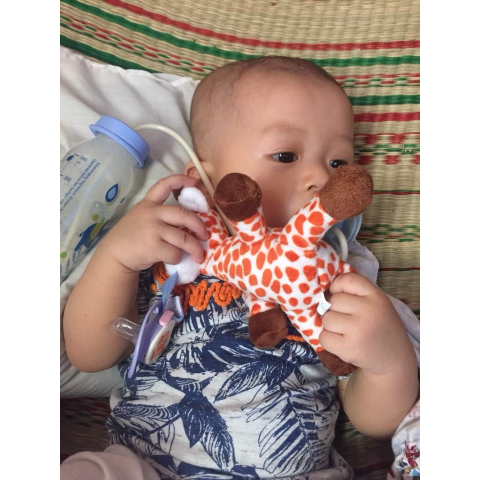 Thú bông hươu cao cổ gắn vào ti giả cho bé Tommy Baby