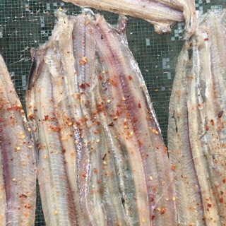 Khô Cá Hố | Cá Hố 2 Nắng [ 500Gr ]