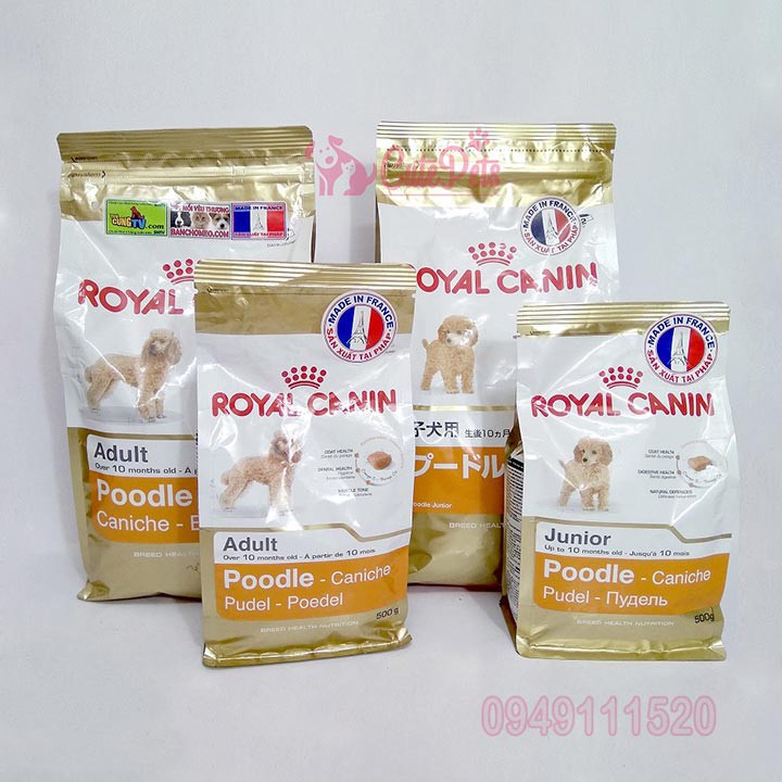 Thức ăn cho chó Poodle Hạt Royal Canin Poodle Adult 500g  - CutePets