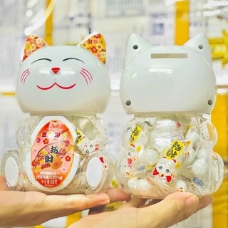 kẹo mèo thần tài socola
