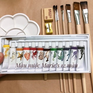 Màu nước Marie’s 12 màu, tuýp 5ml (tặng 10 món quà)