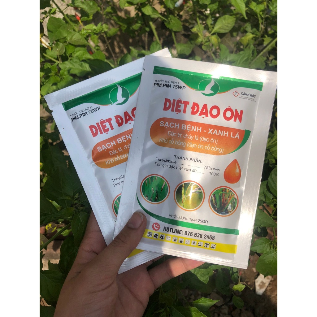 DIỆT ĐẠO ÔN
