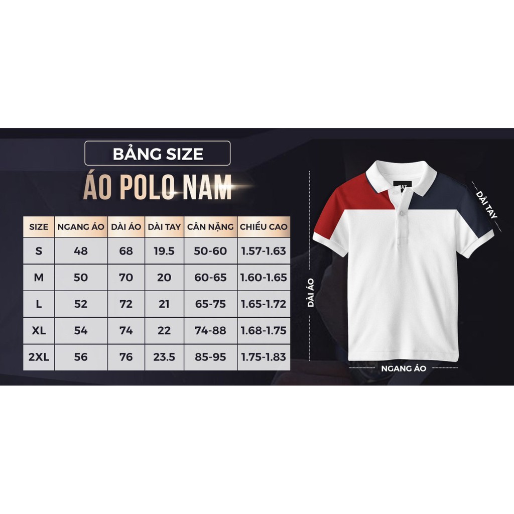 Áo thun nam Polo cổ bẻ RAZ thun cotton 4 chiều co giãn, form chuẩn, sang trọng giá tốt [Ảnh Thật] | BigBuy360 - bigbuy360.vn