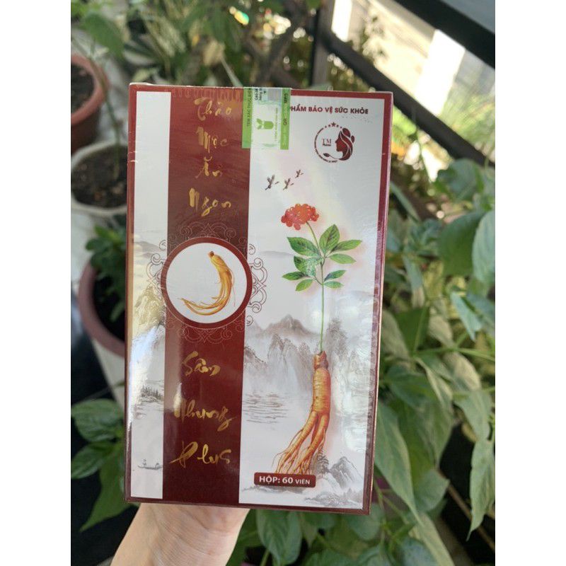 Viên Ăn Ngon  Sâm Nhung Plus