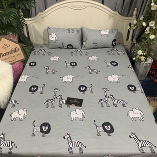 Ga chống thấm cotton m6-2m-10p