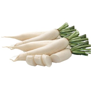 HẠT GIỐNG CỦ CẢI TRẮNG