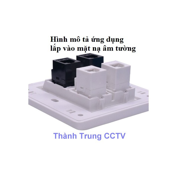 Đầu nối RJ11 Cat3 dùng cho cáp thoại