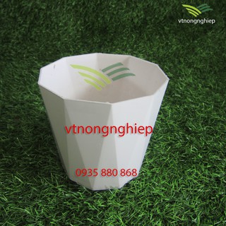Chậu trồng cây, Ly 10 Cạnh, đường kính 15cm, cao 13cm