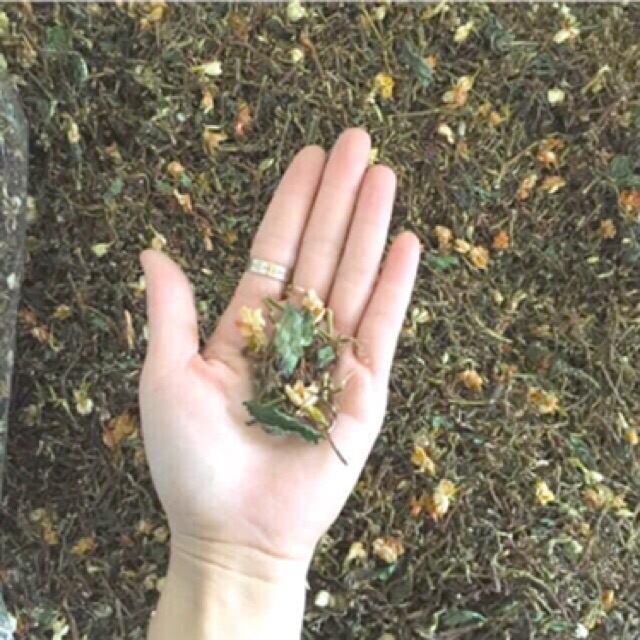 Combo Siêu rẻ 1 kg Trà Sơn mật ngon nhất trộn nhiều hoa nhài và cỏ ngọt