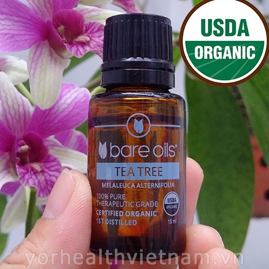 [Yêu Thiên Nhiên Store] Tinh dầu tràm trà - Tea Tree Essential Oil (Tinh dầu hữu cơ Bare Oils - USDA Organic)