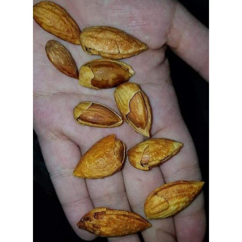 1 thùng hạnh nhân 9.5kg loại vỏ mỏng thơm ngon