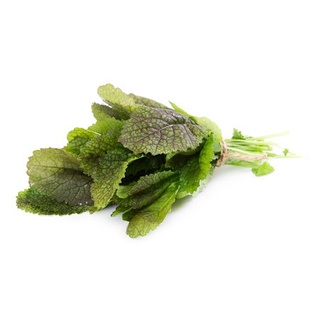Hạt giống Wasabi đỏ Nhật Bản 100h