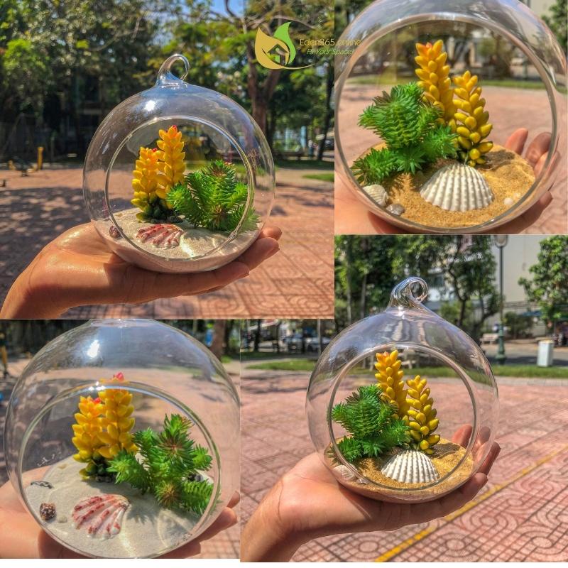 Terrarium quả cầu thủy tinh cùng sen đá xương rồng nhân tạo, quả cầu treo trang trí, tiểu cảnh mini 