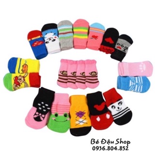 Tất Chân cho chó mèo