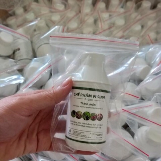 Chế phẩm vi sinh P-GRO