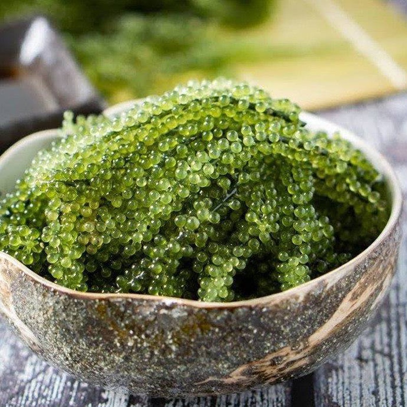 Rong Nho Tươi Tách Nước SABUDO Theo Công Nghệ Nhật Bản Hộp 240G   MUA 3 TẶNG 1