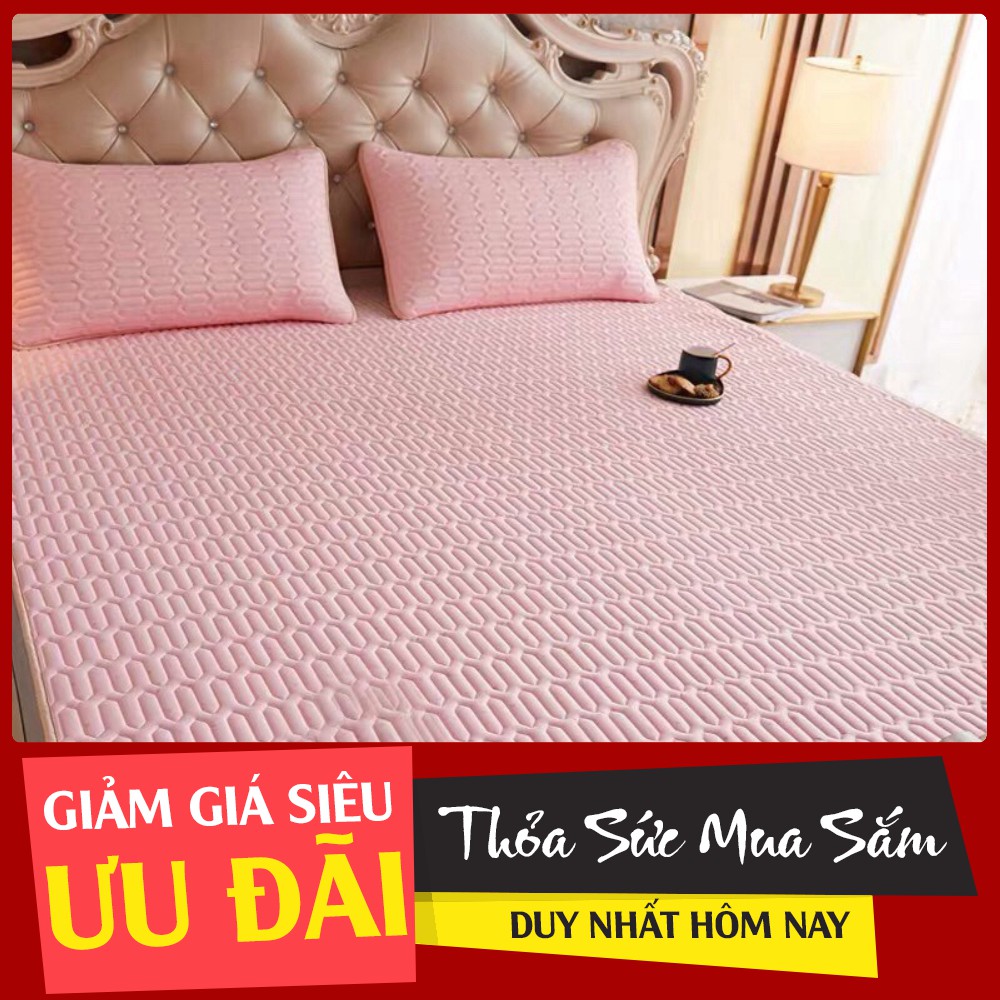 (GIÁ SOCK lại TẶNG QUÀ) Chiếu cao su non tencel cao cấp - Tặng khăn mặt cao cấp - HÀNG CAO CẤP Free SHIP