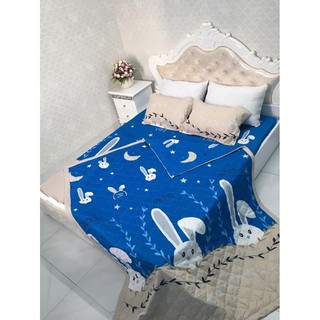 Sét Chăn ga gối hè  cotton poly