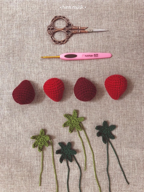 Len Susan’s Family 4