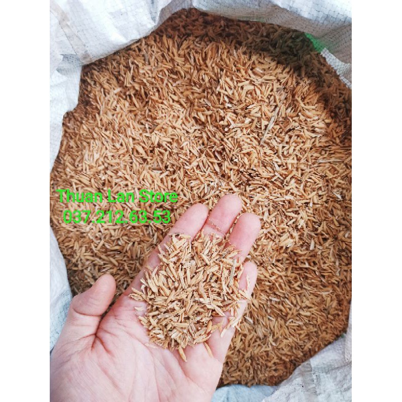 Túi 1kg Vỏ Trấu Sống Dùng Trồng Rau, Lan Cây Cảnh