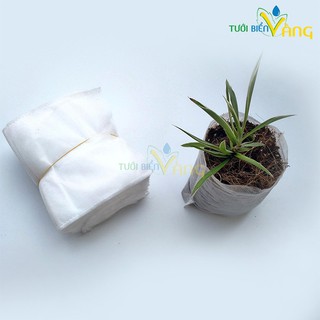 Túi ươm cây giống, gieo mầm tự tiêu - 100 túi