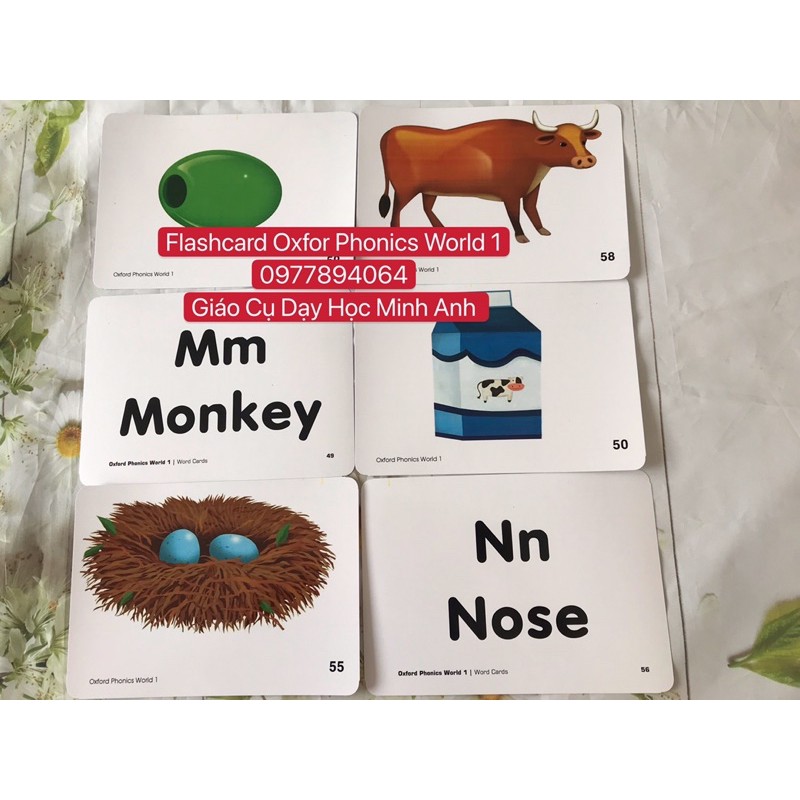 Flashcards Oxford Phonics World 1 ☘️104 thẻ phonics thiết kế hai mặt siêu đẹp💯