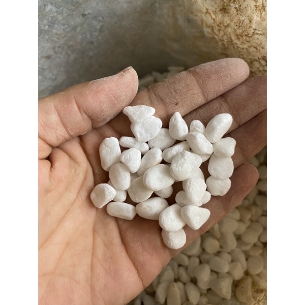 Đá nhỏ trang trí chậu cây, bể cá cảnh, sân vườn đóng gói 1kg