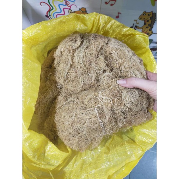 1KG RONG BIỂN NẤU XU XOA