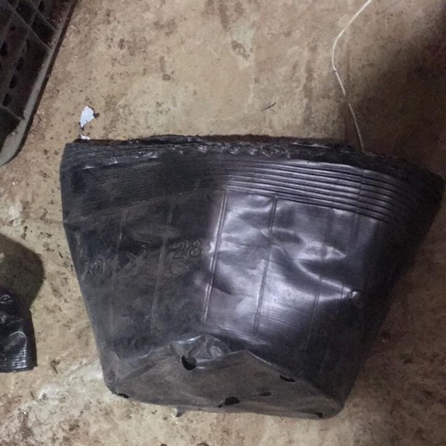Bầu đen sz 30 x 28