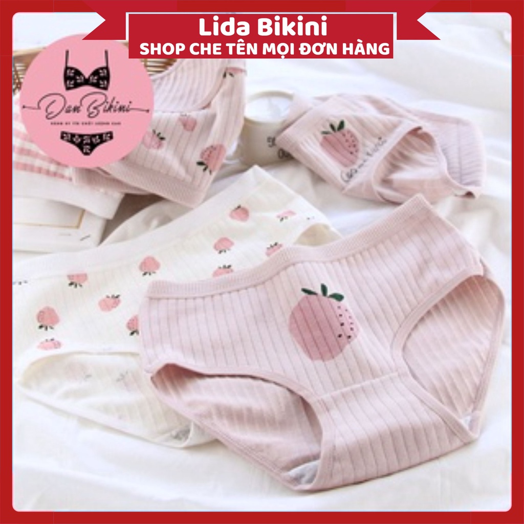 Quần Lót Nữ - Quần Lót Nữ Cotton gân tăm hình dâu tây kháng khuẩn mềm mại DAN STORE Mã 671
