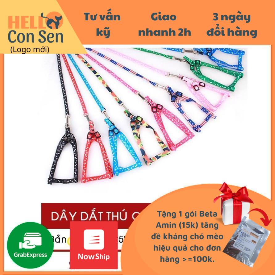 [QUẬN 2]Dây Dắt Chó Mèo (1-3kg) Có Yếm - Nhiều Màu