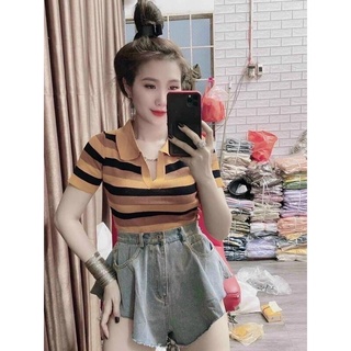 áo polo cổ bẻ len mông cộc tay
