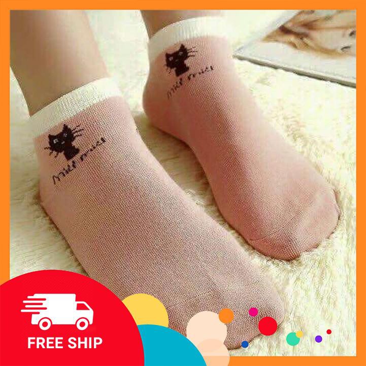 Combo 5 đôi tất mèo cổ ngắn trộn màu BC_CHIC LINGERIE