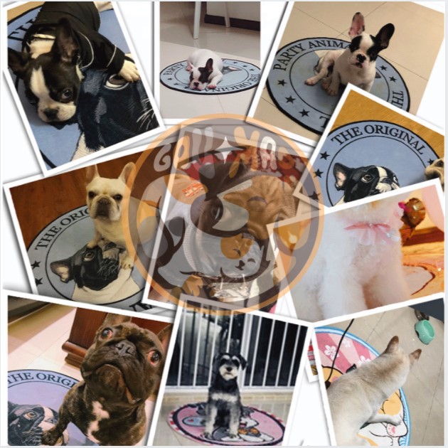 ☀️ Thảm mùa hè siêu kute họa tiết chó mèo ☀️