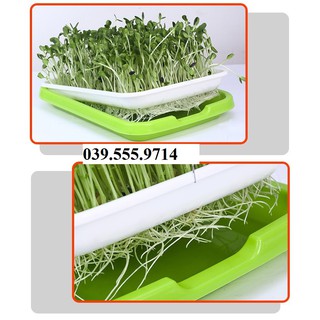 [Ảnh Thật]  BỘ 3 KHAY NHỰA TRỒNG RAU MẦM THỦY CANH , GIÁ ĐỖ