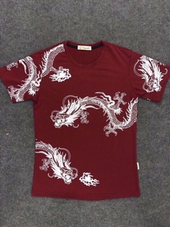 Áo thun hàn quốc