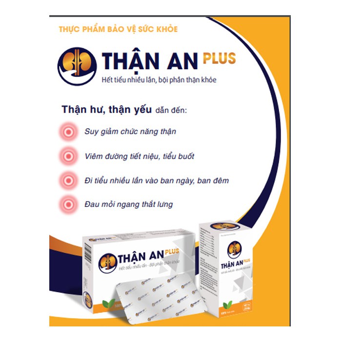 An Thận Plus hộp 100 viên tặng kèm hộp 20 viên 8000- Giúp Thận khỏe, và phục hồi các triệu chứng thận hư